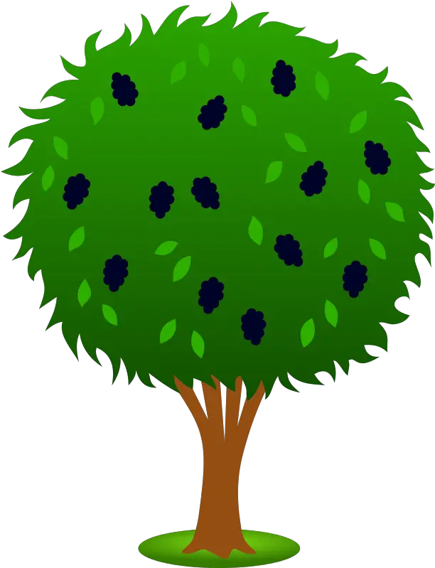 Bushes Clipart Free Download Clip Art Clipartbarn Apple Tree Clipart Png Shrub Transparent Background