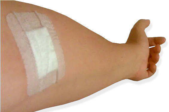 Fileblooddonor Afterpng Wikimedia Commons Blood Donation On Arm Blood Hand Png