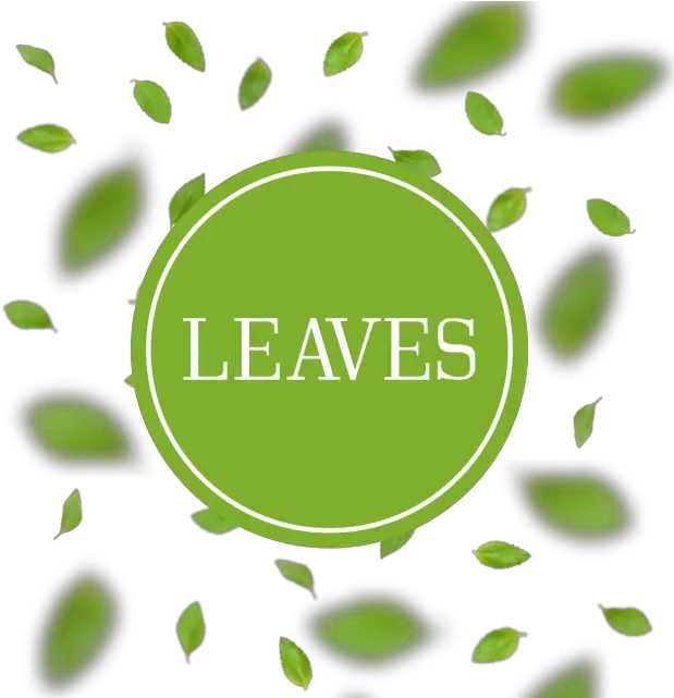 Download Leaves Arrangement Background With Blur Circle Png Blur Png