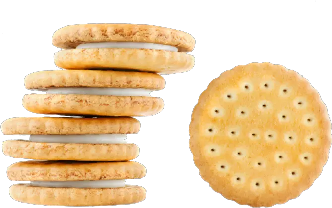 Biscuit Png Images Free Download Biscuit Png Biscuit Png