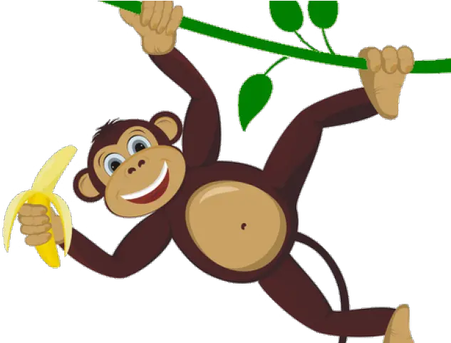 Download Hd Spider Monkey Clipart Monkey Cartoon Png Transparent Monkey Transparent Background