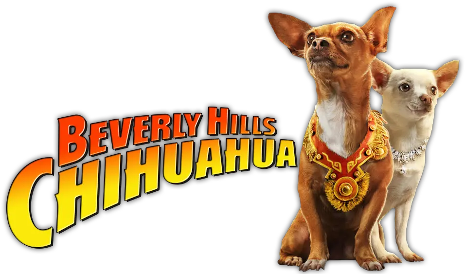 Beverly Hills Chihuahua Image Clipart Beverly Hills Chihuahua Png Chihuahua Png