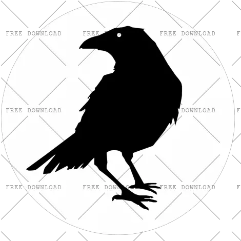 Crow Bird Png Image With Transparent Royalty Free Raven Silhouette Crow Transparent