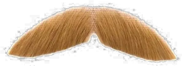 Fake Moustache Png Transparent Image Realistic Transparent Mustache Png Mustache Png Transparent