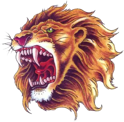 Lion Head Roar Png Image Lion Face Roar Png Lion Roar Png