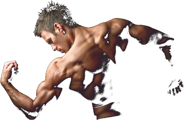 Health Fitness Gym In Udaipur Best New Bodybuilders Images Png Body Builder Png