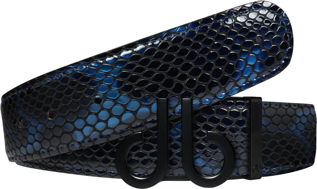 Shiny Snakeskin Texture Belt Blue U0026 Black With Matte U2018dbu2019 Icon Buckle Seattle Public Library Png Shiny Icon