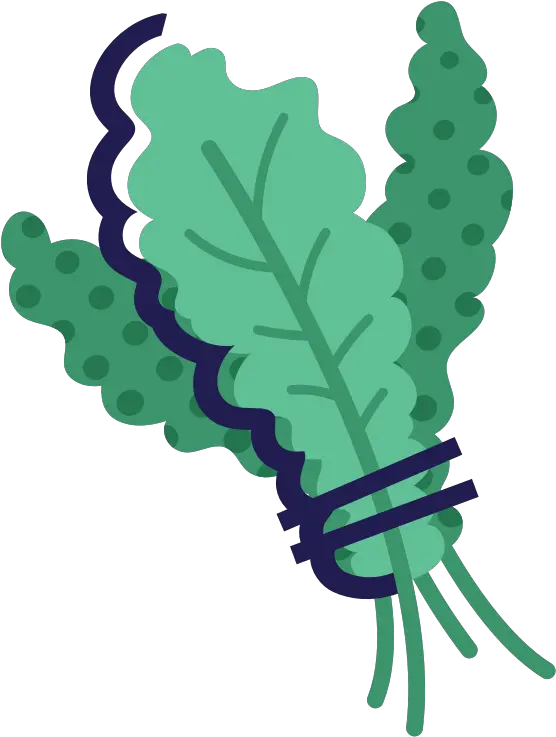 Kale Vector Vegetable Leaf Chard Transparent Cartoon Cartoon Kale Transparent Png Kale Png