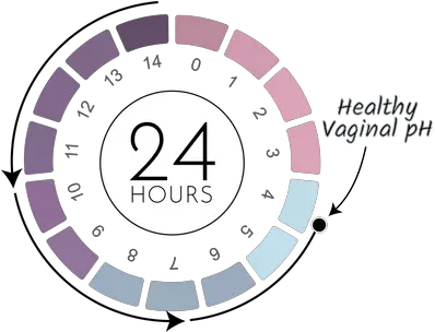 Flowerpower Boric Acid Suppositories For Vaginal Health Gate Vector Icon Png Vagina Icon