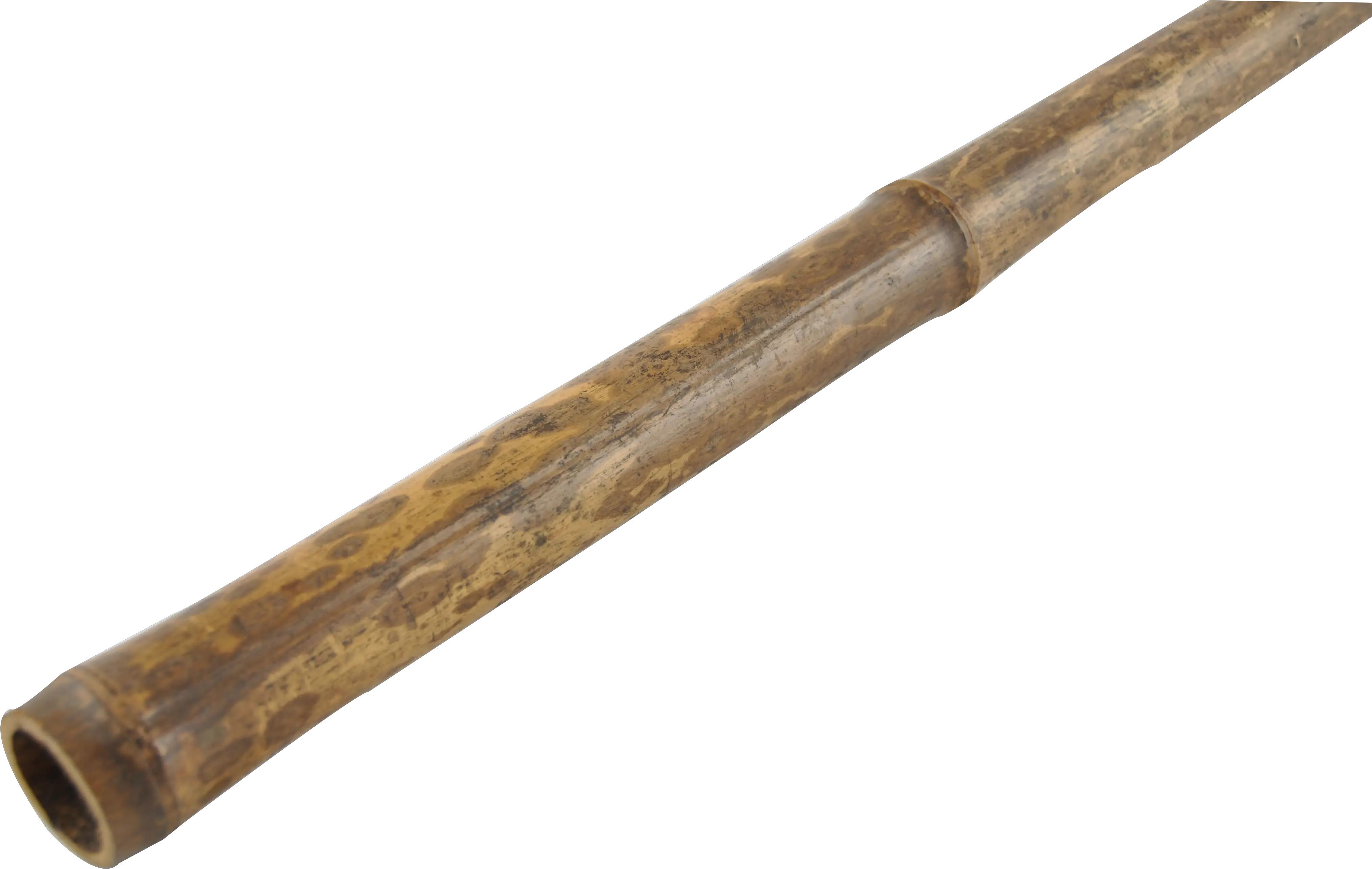 Brown Tiger Bamboo Length 295cm Globstor Rifle Png Blunt Transparent Background