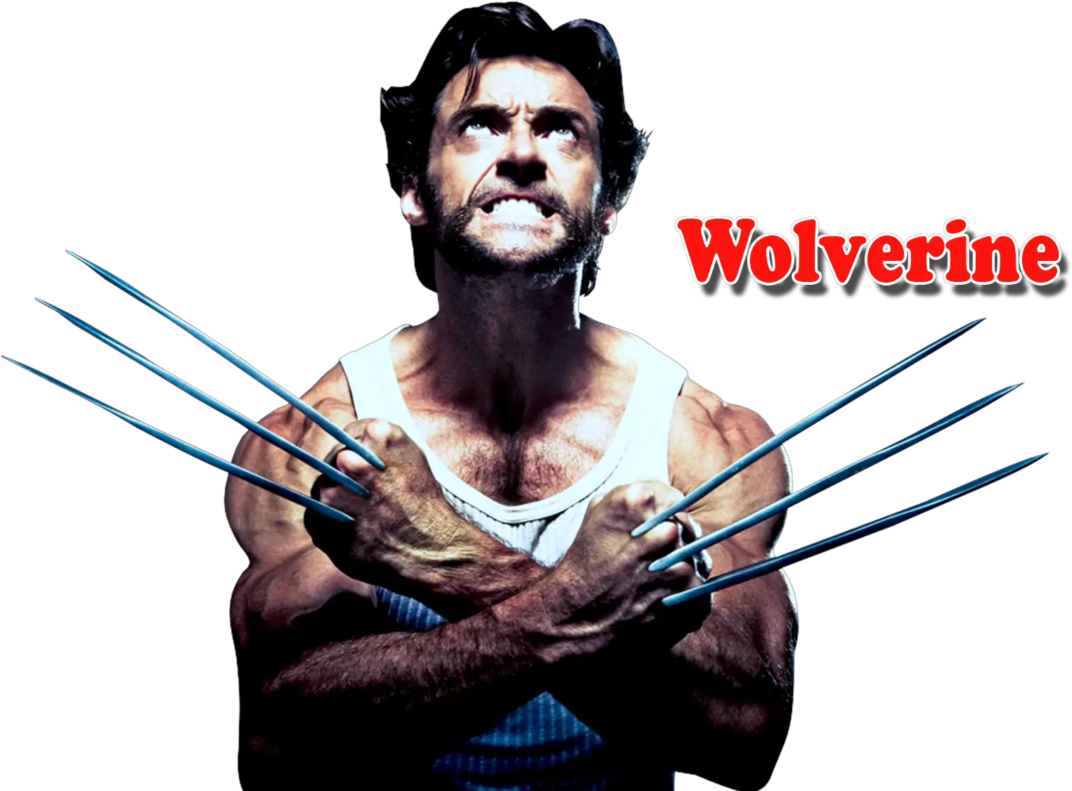 Wolverine Png Transparent Images 13 Wolverine X Men Png Wolverine Png
