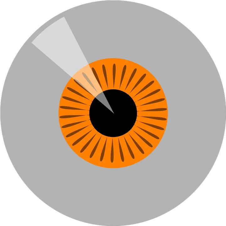 Eyeball Iris Orange Free Vector Graphic On Pixabay Vector Graphics Png Shiny Eyes Png