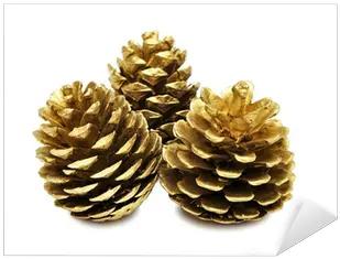 Sticker Golden Pine Cones Pixershk Golden Pine Cone Png Pine Cone Icon