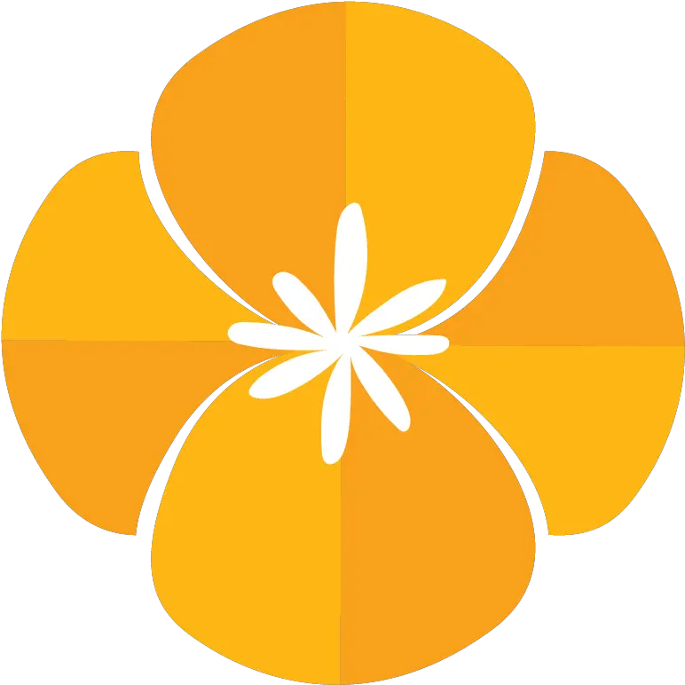 Poppy Social Media Transparent California Poppy Png Orange Fb Live Icon