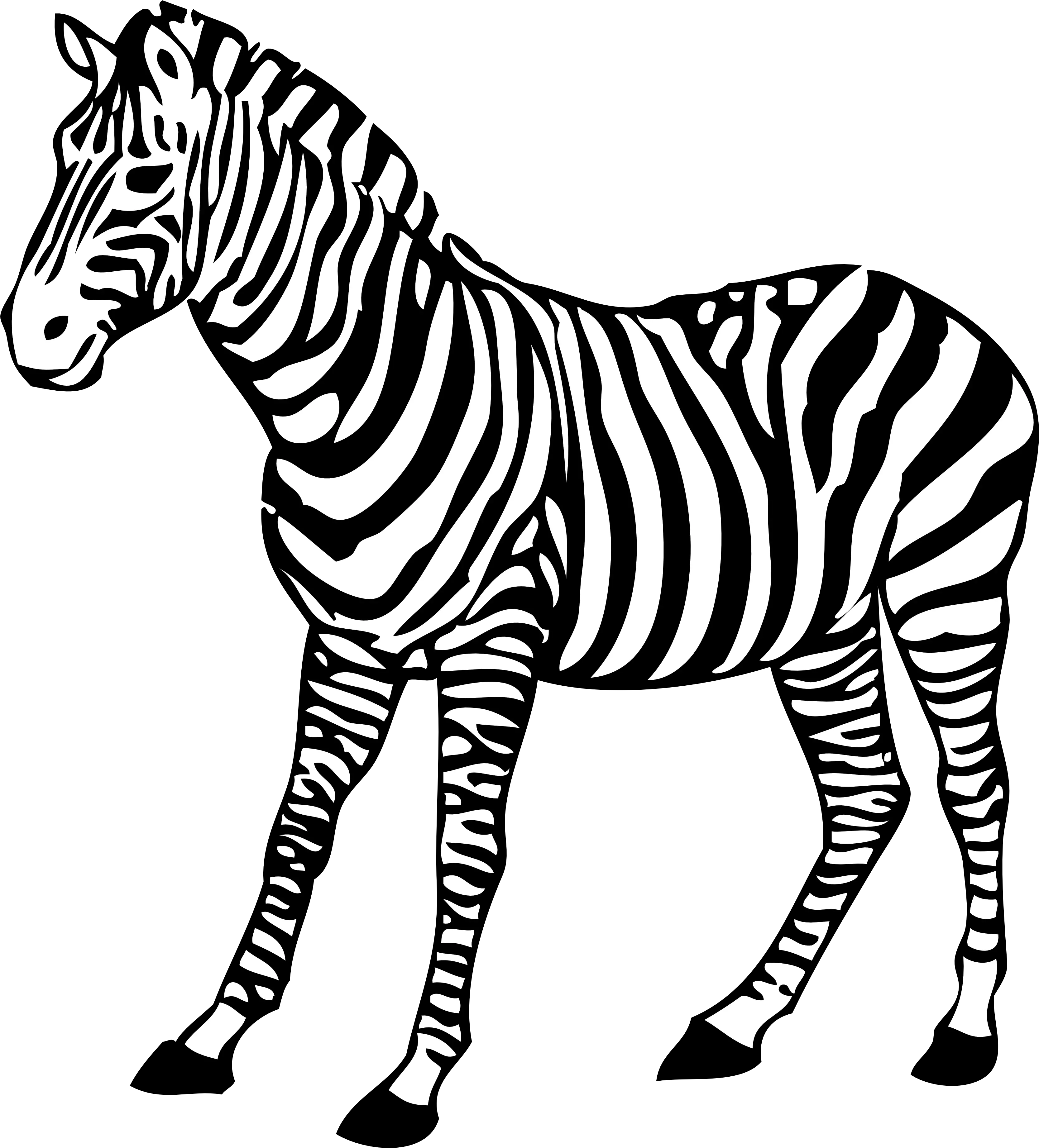 Zebra Png Images Free Download Zebra Black And White Zebra Logo Png