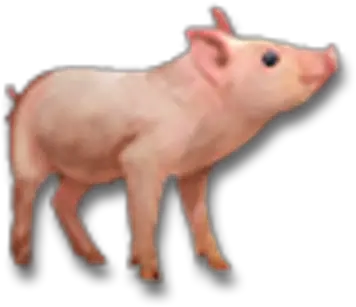 Ginger L Esry Pumpkin Eater Official Pillars Of Small White Pig Png Pig Icon