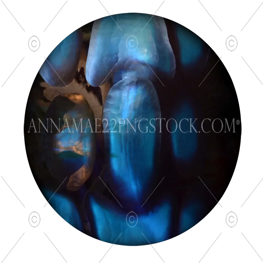 Blue Jewel Abstract Png Stock Photo Transparent Image Fractal Art Jewel Png