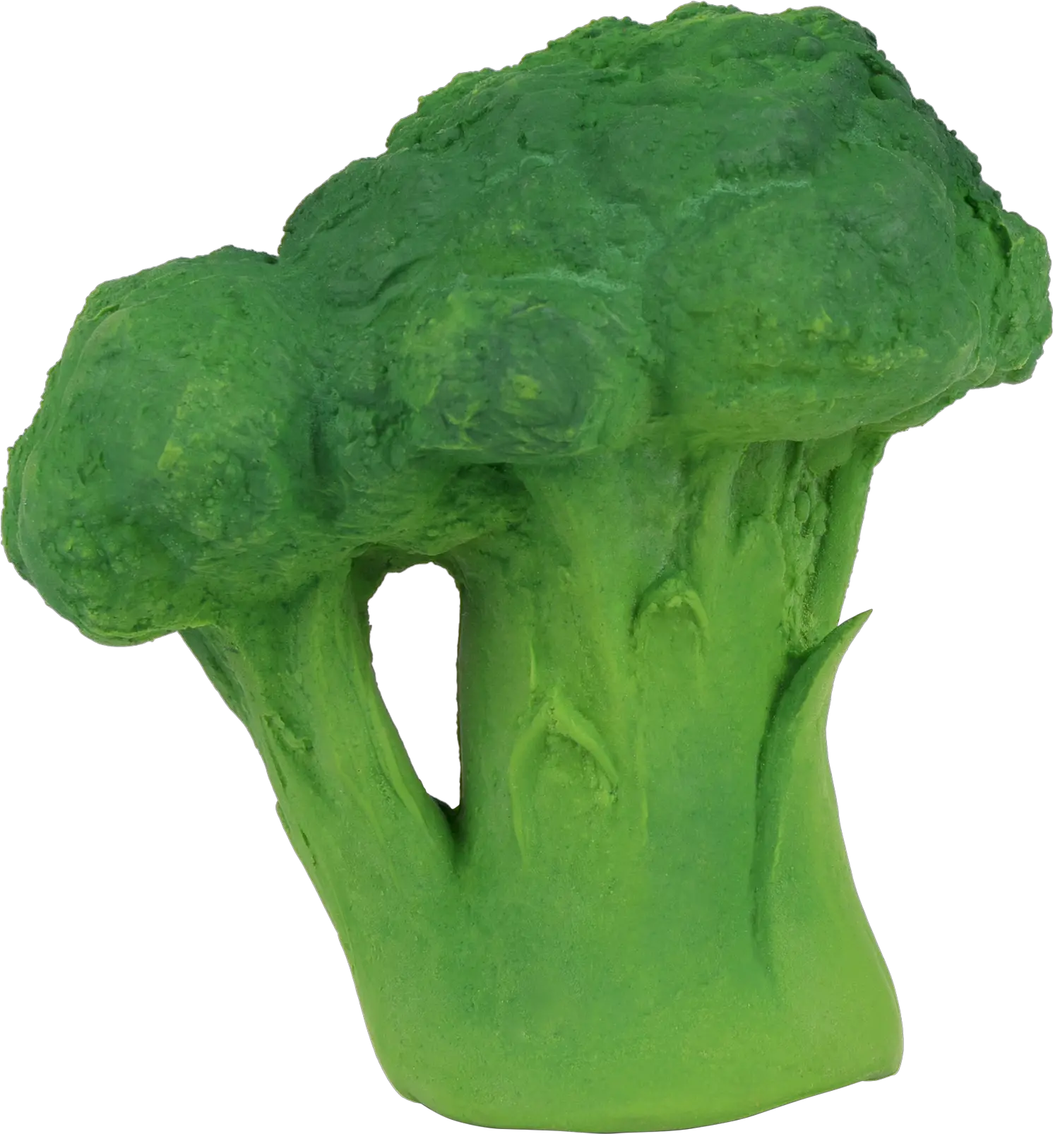 Brucy The Broccoli Brucy The Broccoli Png Broccoli Transparent