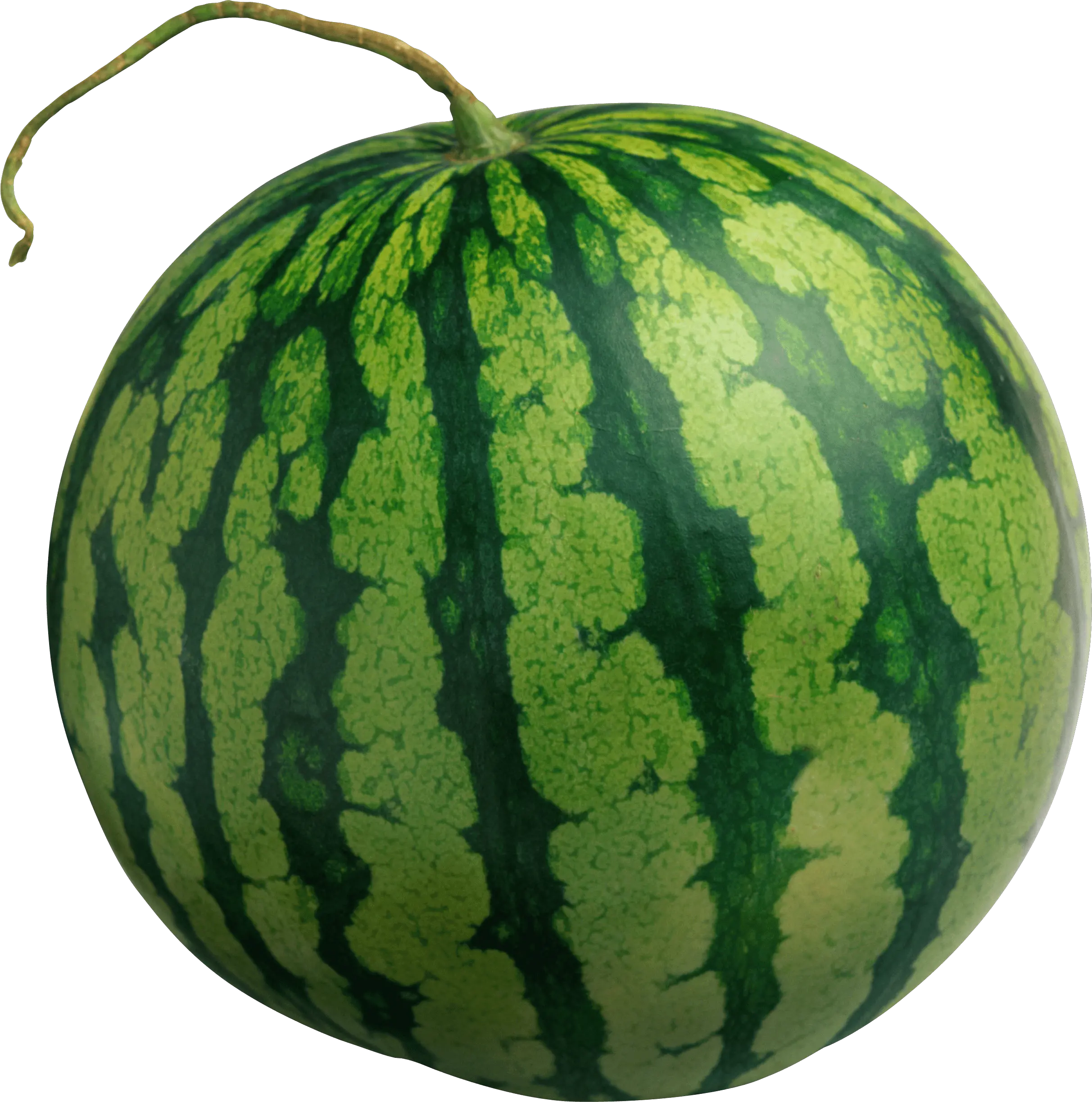 Download Watermelon Free Png Transparent Image And Clipart Watermelon Png Melon Png