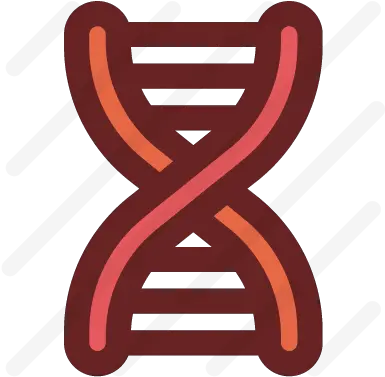 Dna Icon Iconbros Hms Belfast Png Dna Icon Transparent