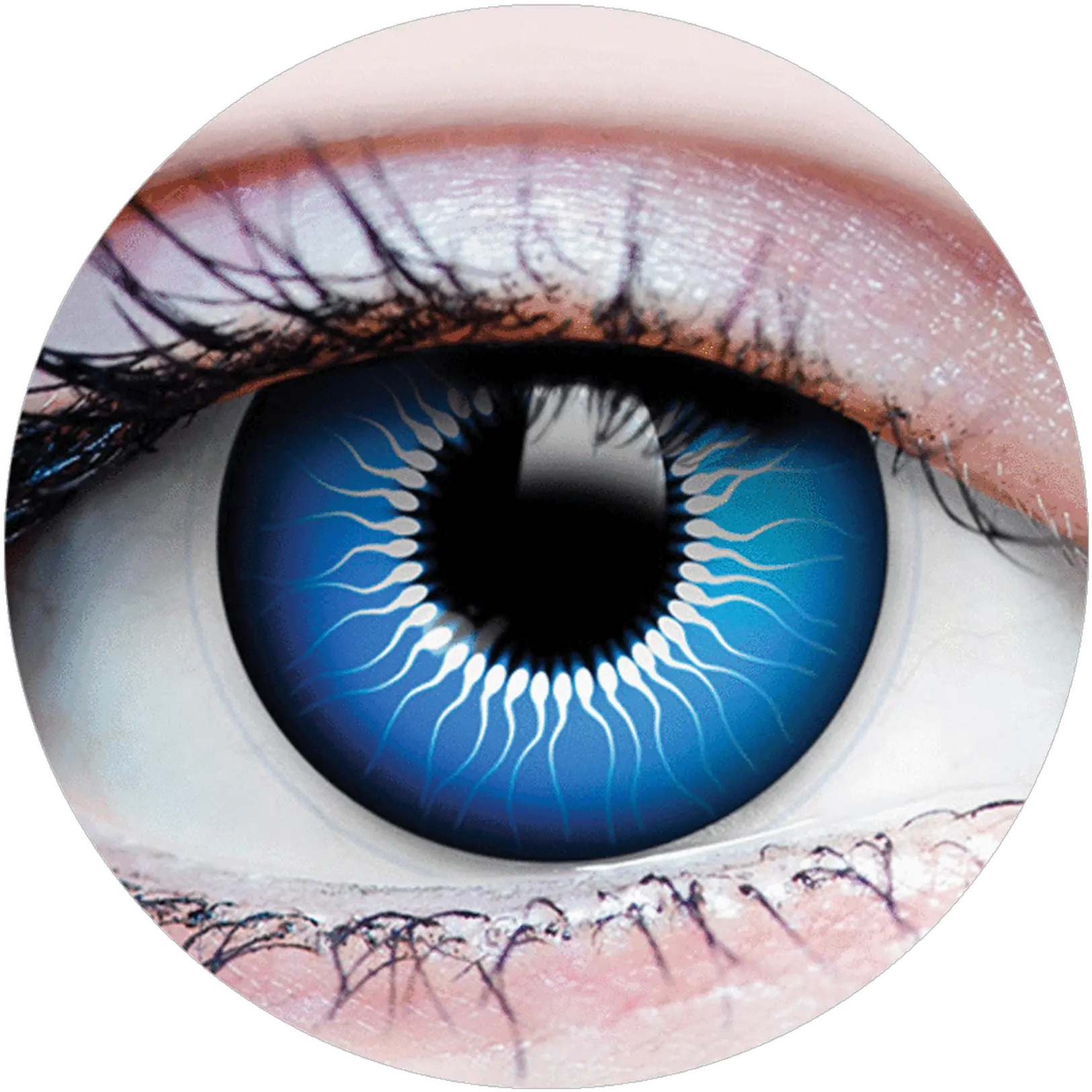 Primal Chucky Contacts Halloween Contact Lens Png Chucky Png