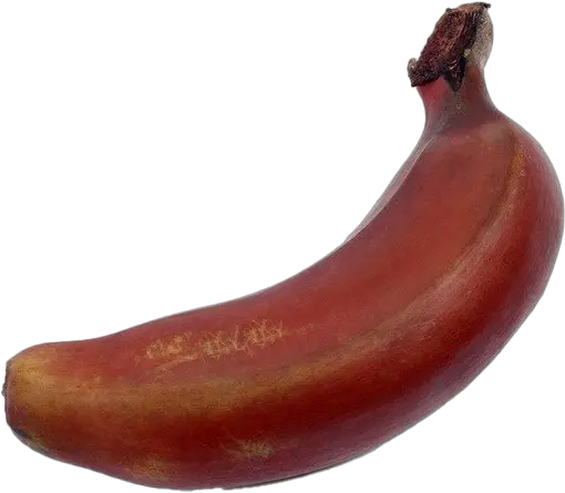 Red Banana Png U0026 Free Bananapng Transparent Images Big Red Banana Banana Transparent Background