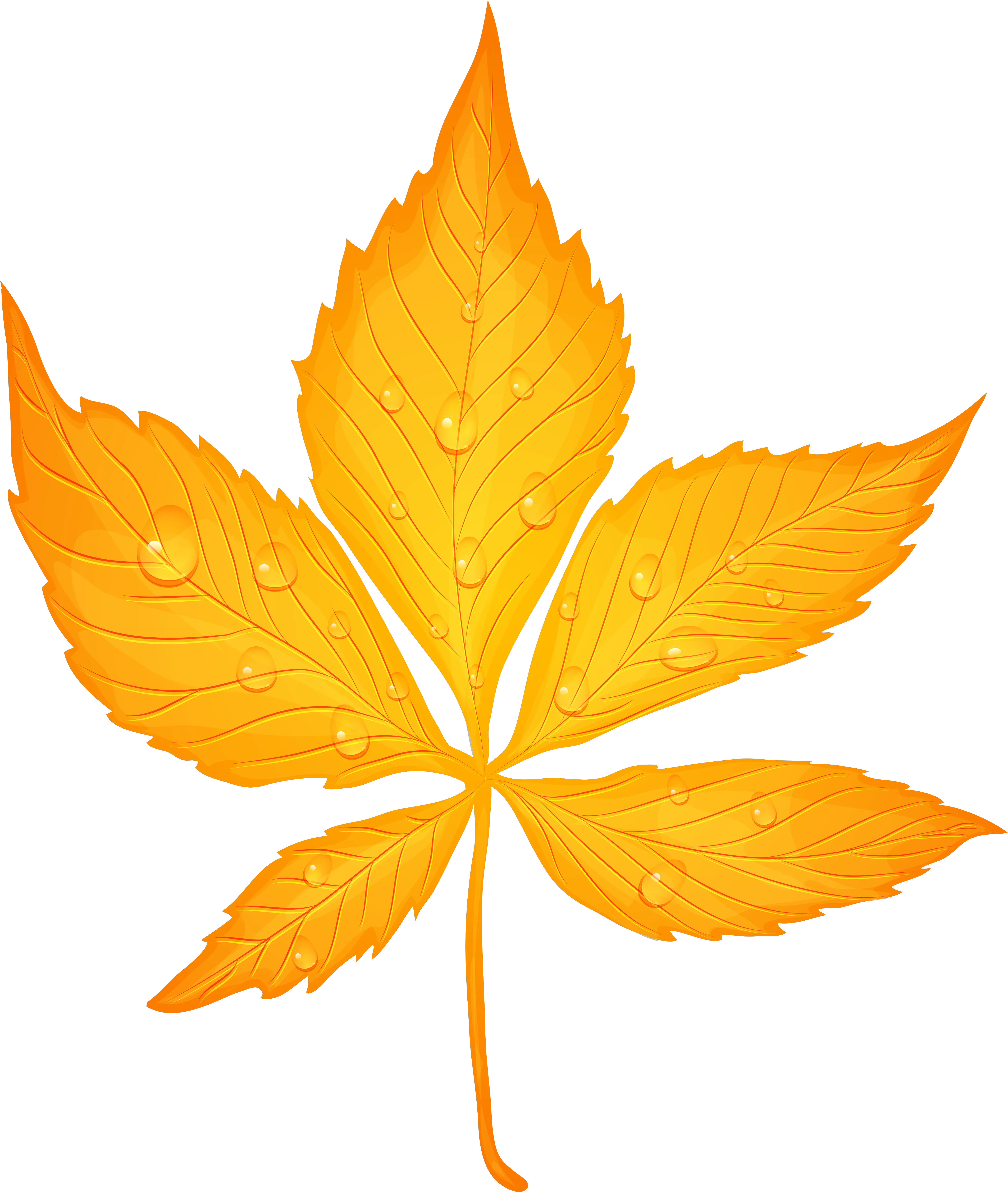 Yellow Fall Leaf Clipart Png Autumn Leaves