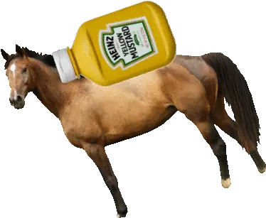 Horse Mustard Gif Horse Supplies Png Horse Icon On Tumblr