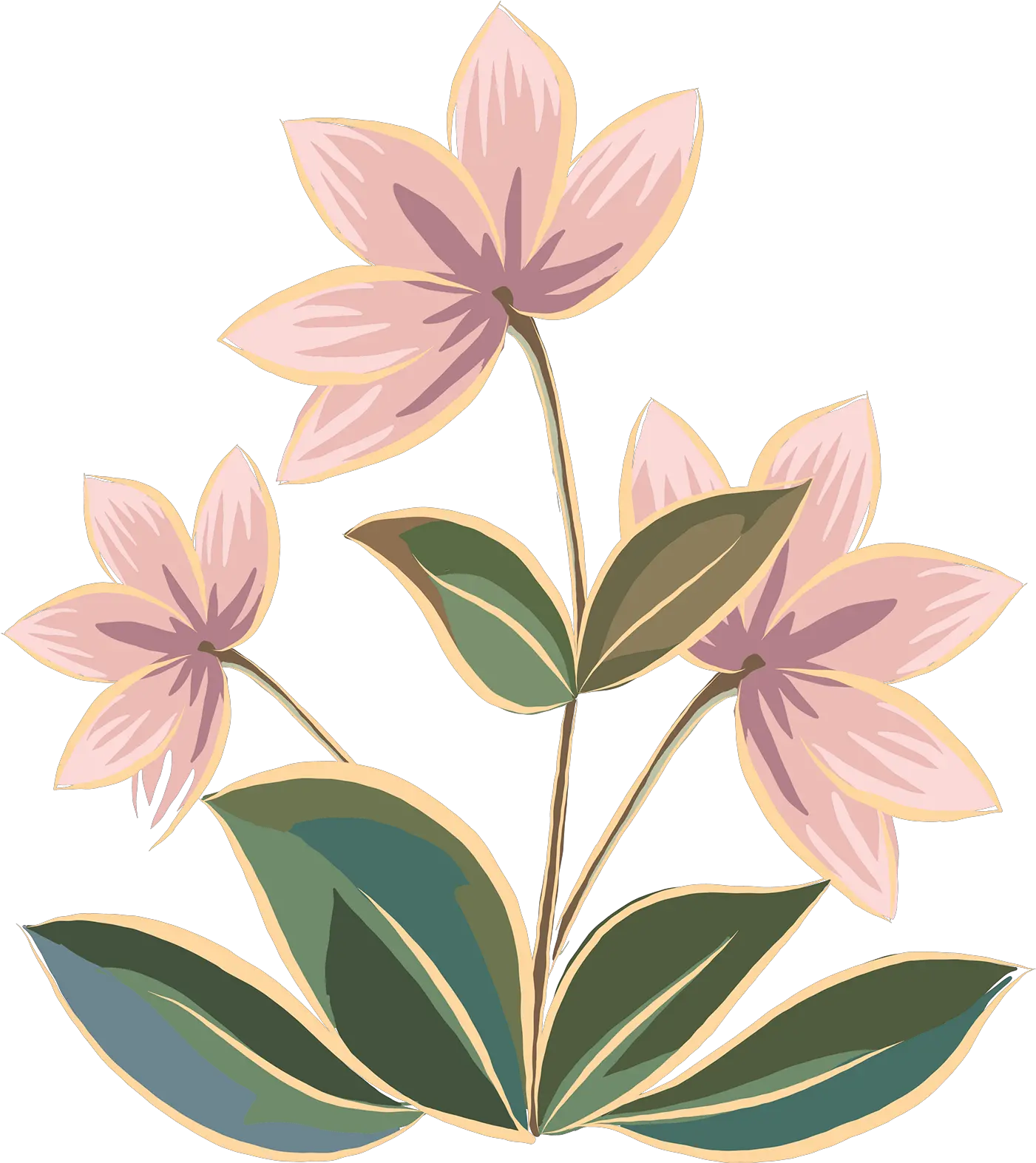 Ornate Floral Border Gentians Png Ornate Border Png