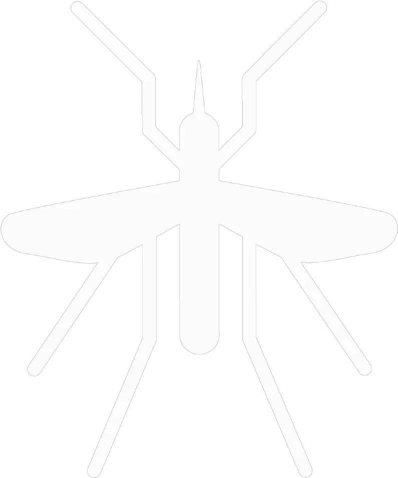 Mosquito U2013 Psicambodia Bug Png Mosquito Png