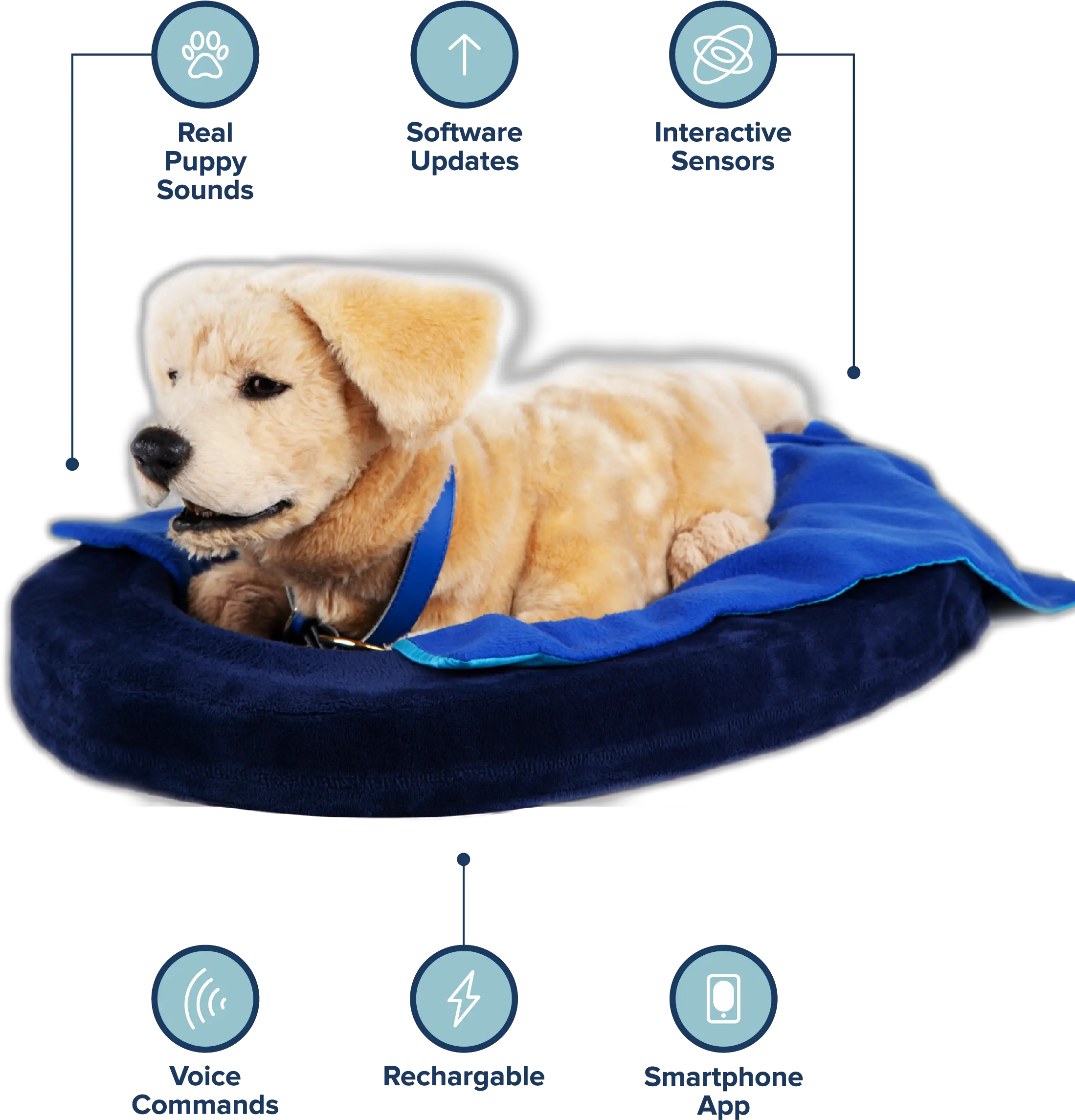 Tombot Tombot Jennie Png Pet Png