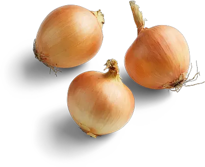 Onions Fresh Grown Year Round By Hydro Produce Australia Yellow Onion Png Onion Transparent