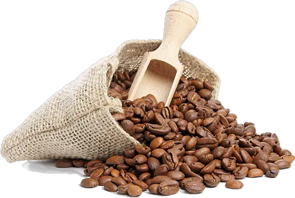 Coffee Beans Png Photo Lifting Weights And Coffee Coffee Bean Png