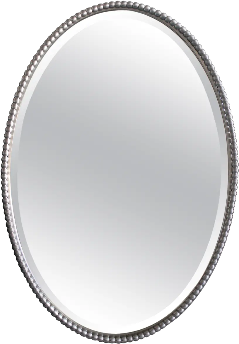 Silver Mirror Oval Circle Png Mirror Transparent Background