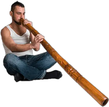 Download Musician Playing The Didgeridoo Transparent Png Didgeridoo Player Png Flute Transparent Background