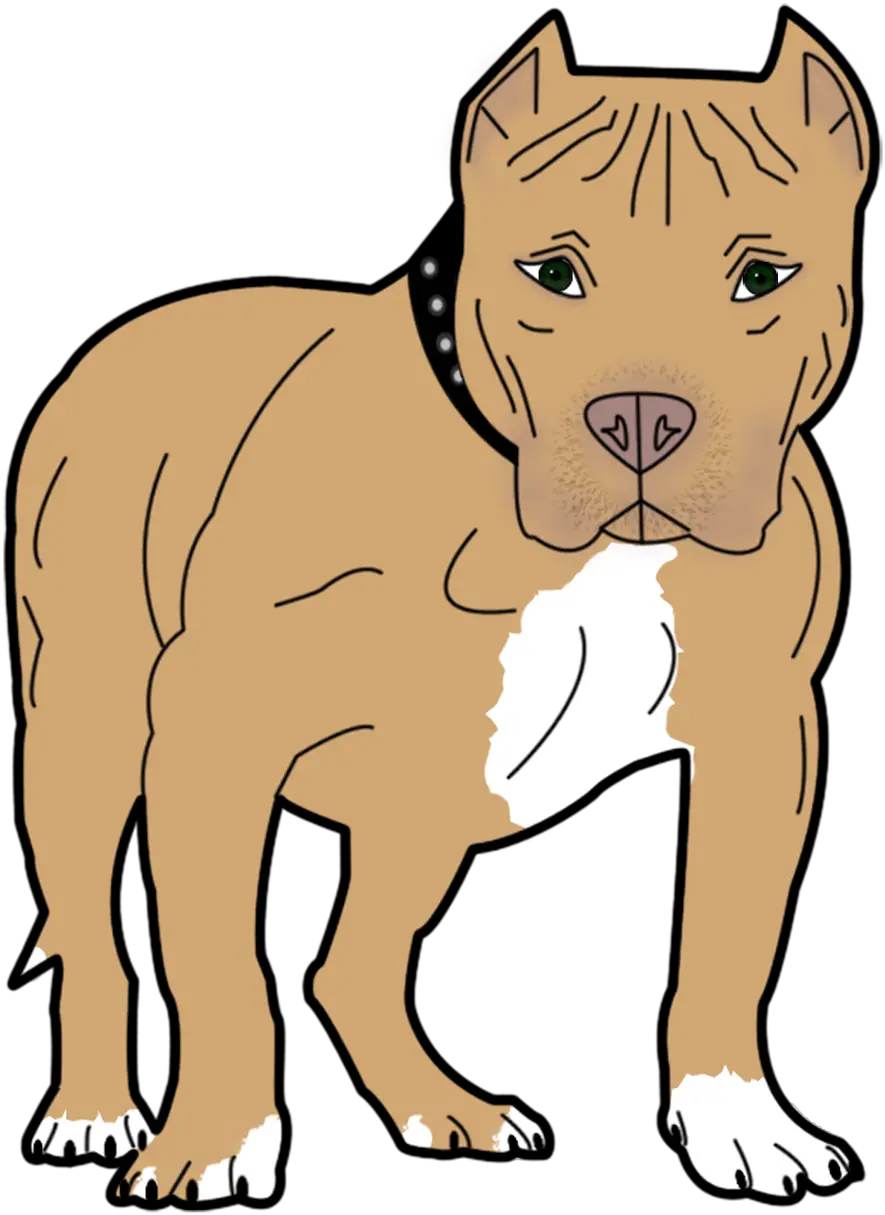 Dog Animal Pet Canine Bull Pit Png Pitbull Clipart Transparent Background Pit Png