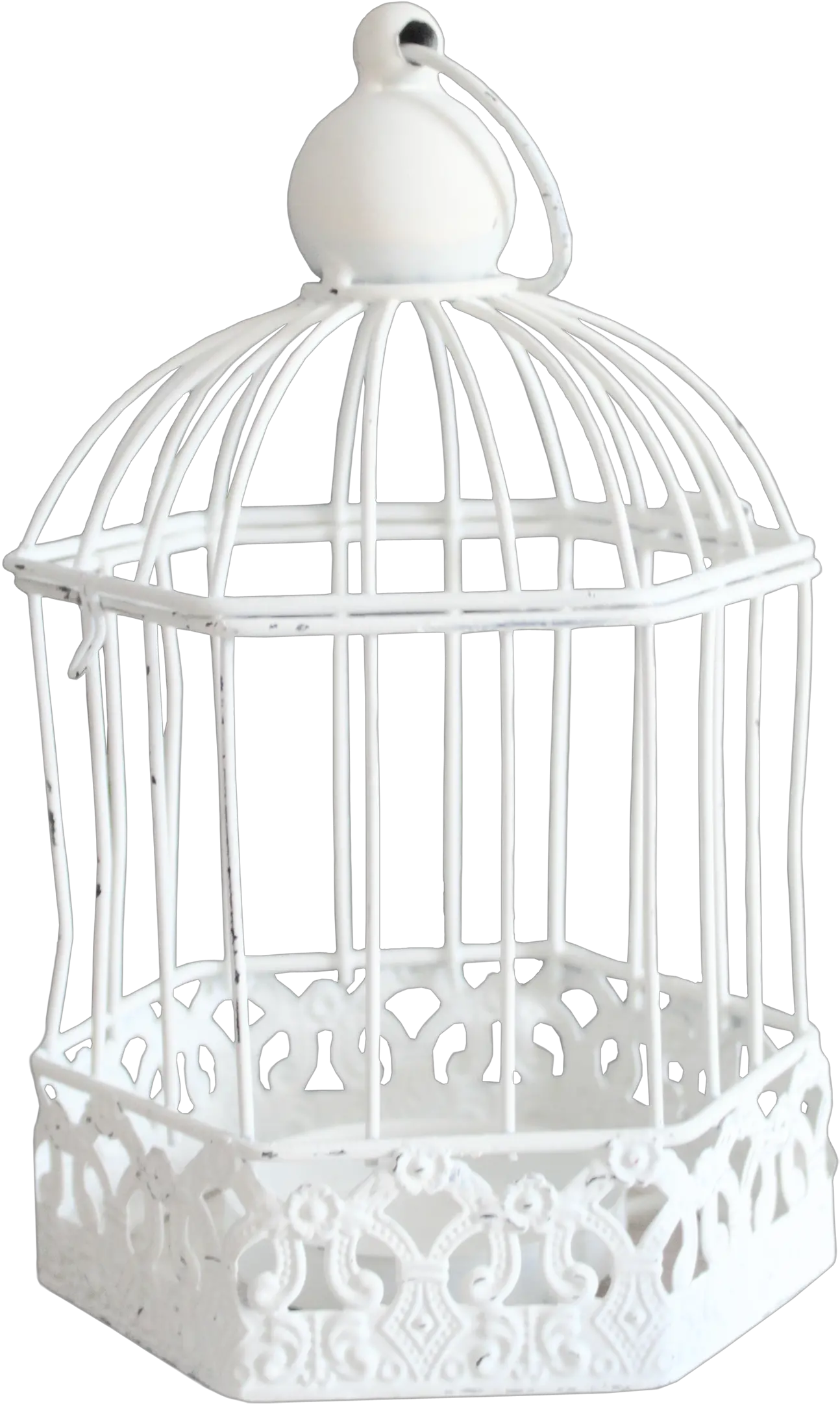 Cage Bird Png Transparent Background