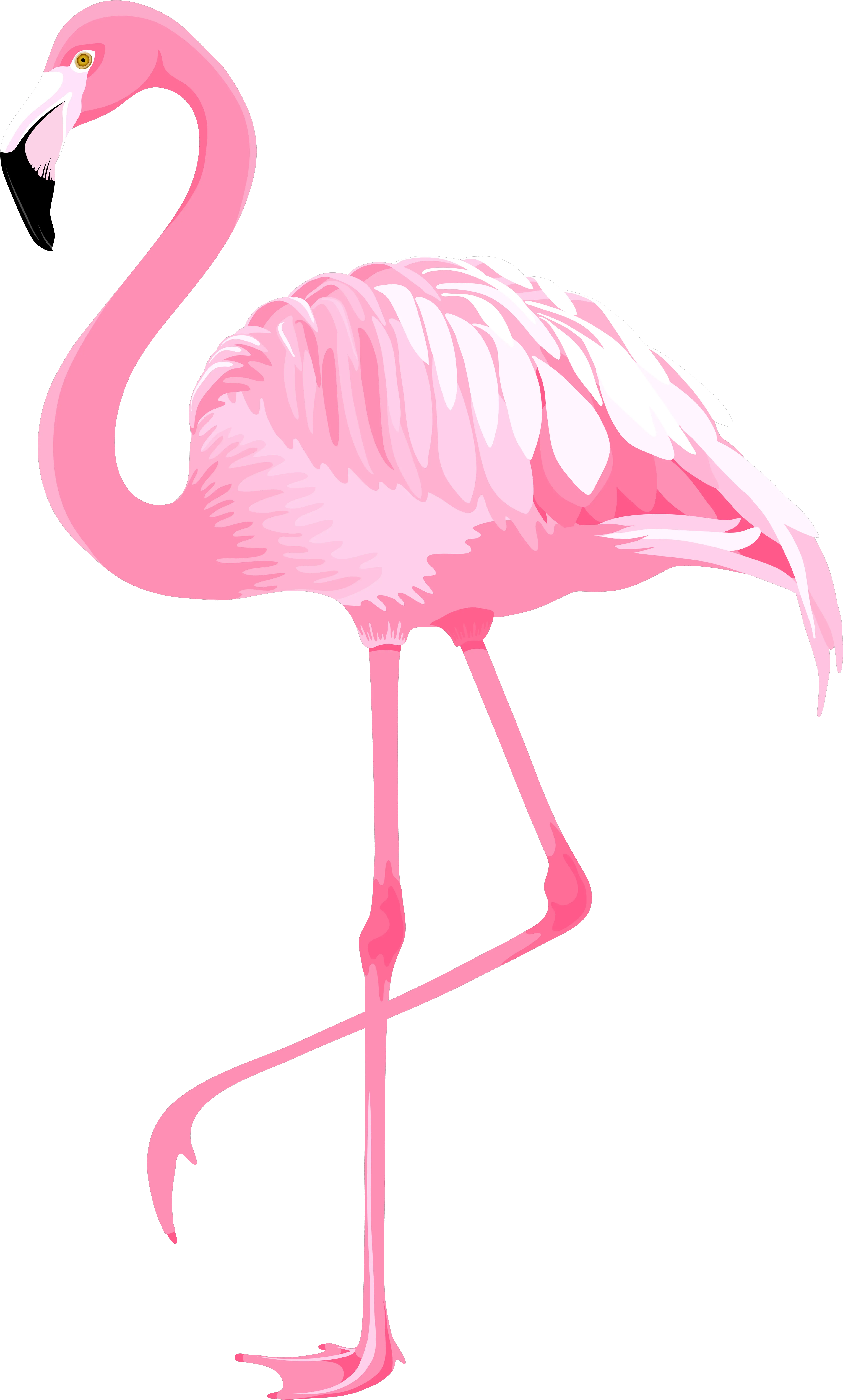 Cool Flamingo Cliparts For Free Png Banner Transparent