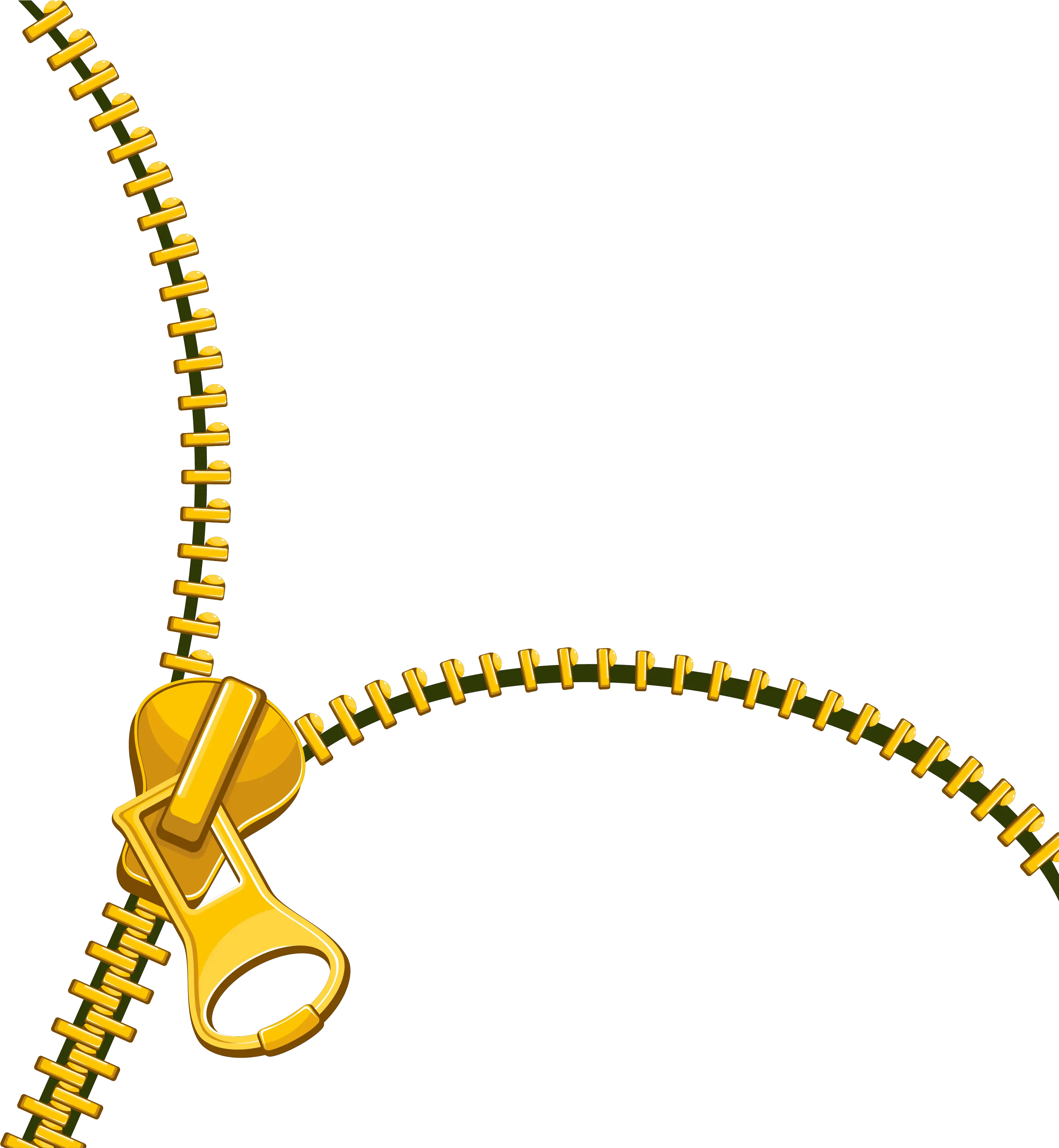 Library Gold Zip Fastener Transprent Transparent Gold Zipper Png Zipper Transparent