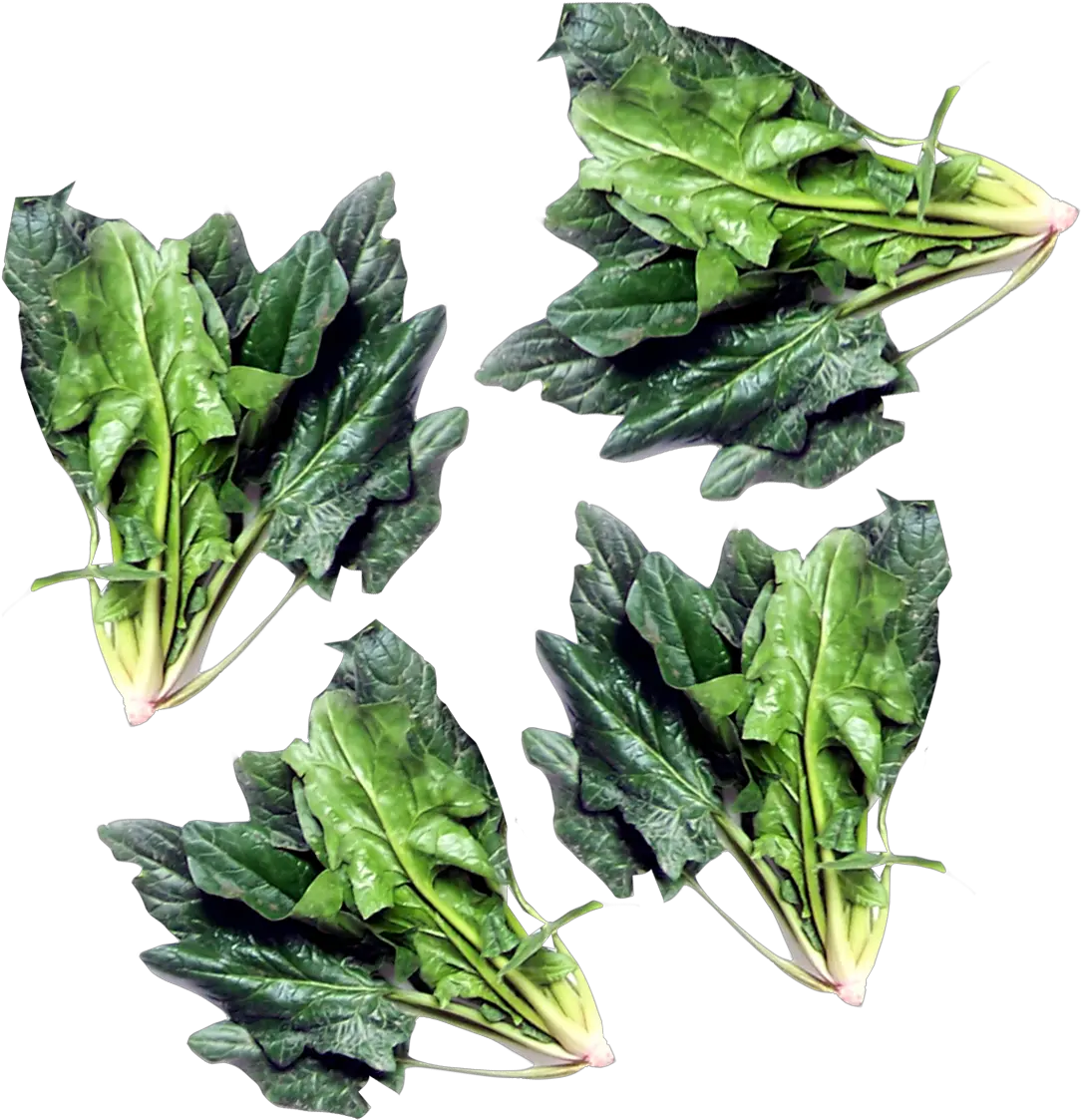 Green Spinach Png Image For Free Download Leaf Vegetable Spinach Png
