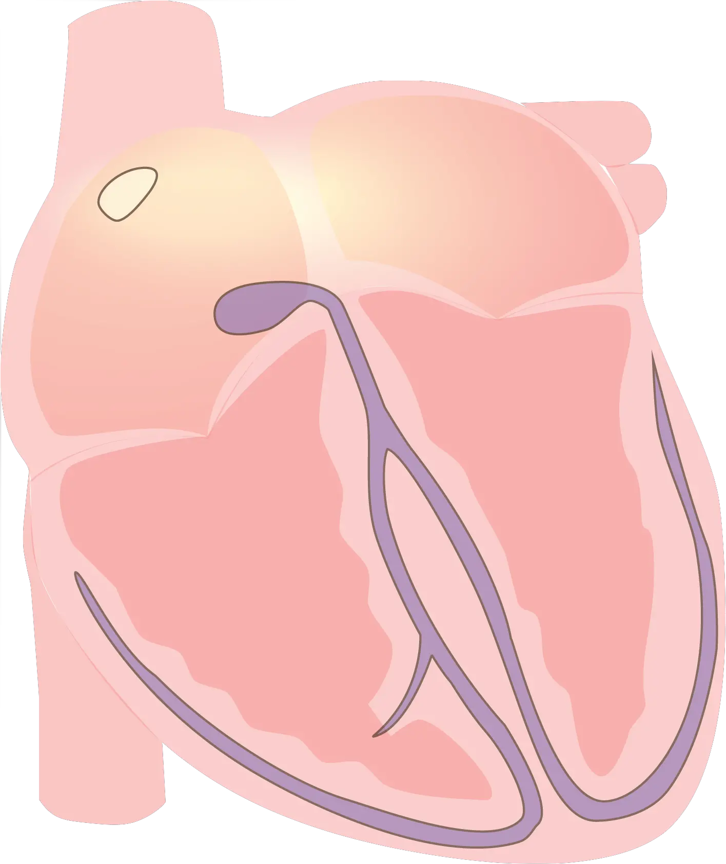 Fileheart Vector Electrical P Wavepng Wikimedia Commons Heart Wave Vector Png