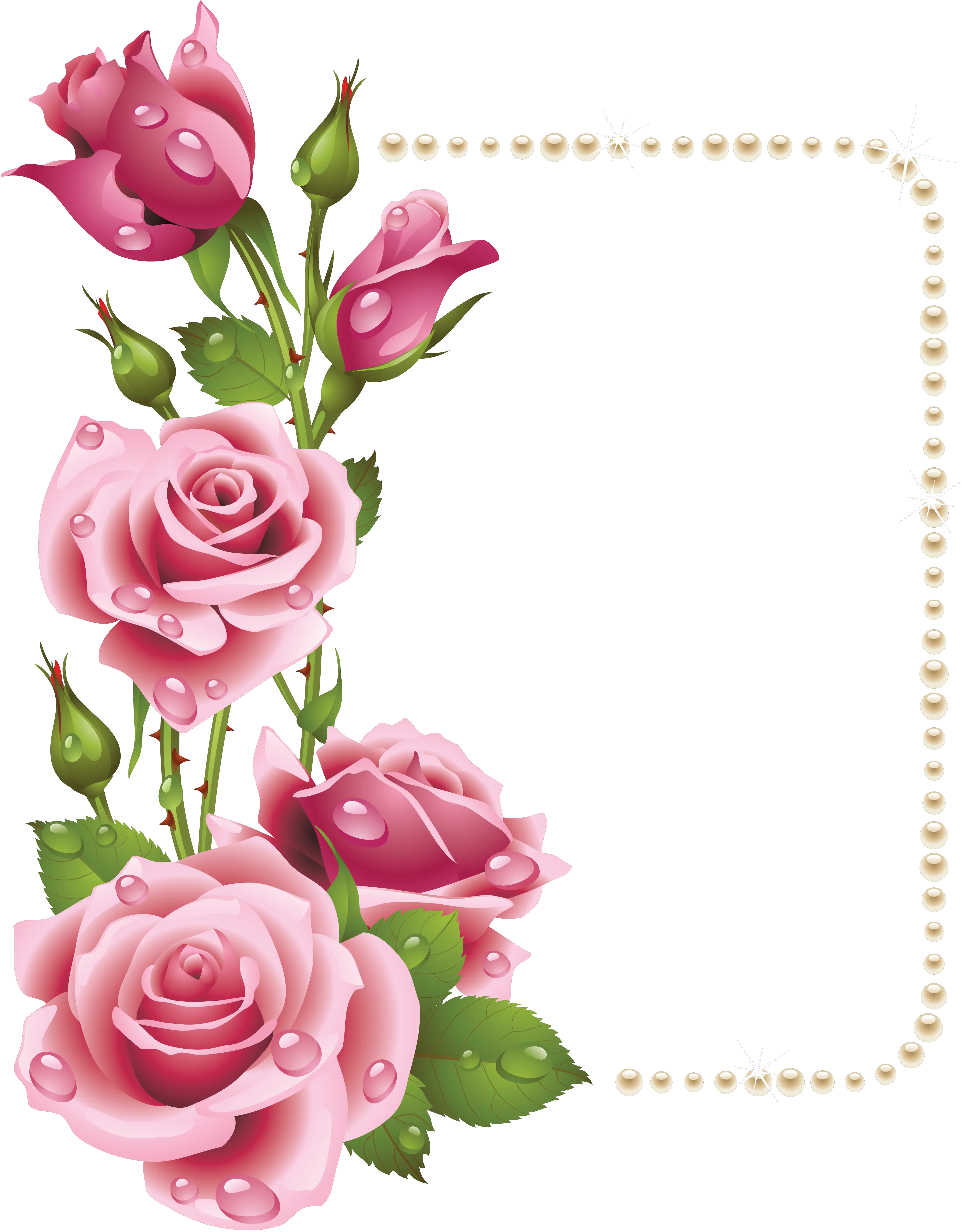 Pink Rose Border Png Large Transparent Frame With Pink Rose Frame Roses Transparent Background