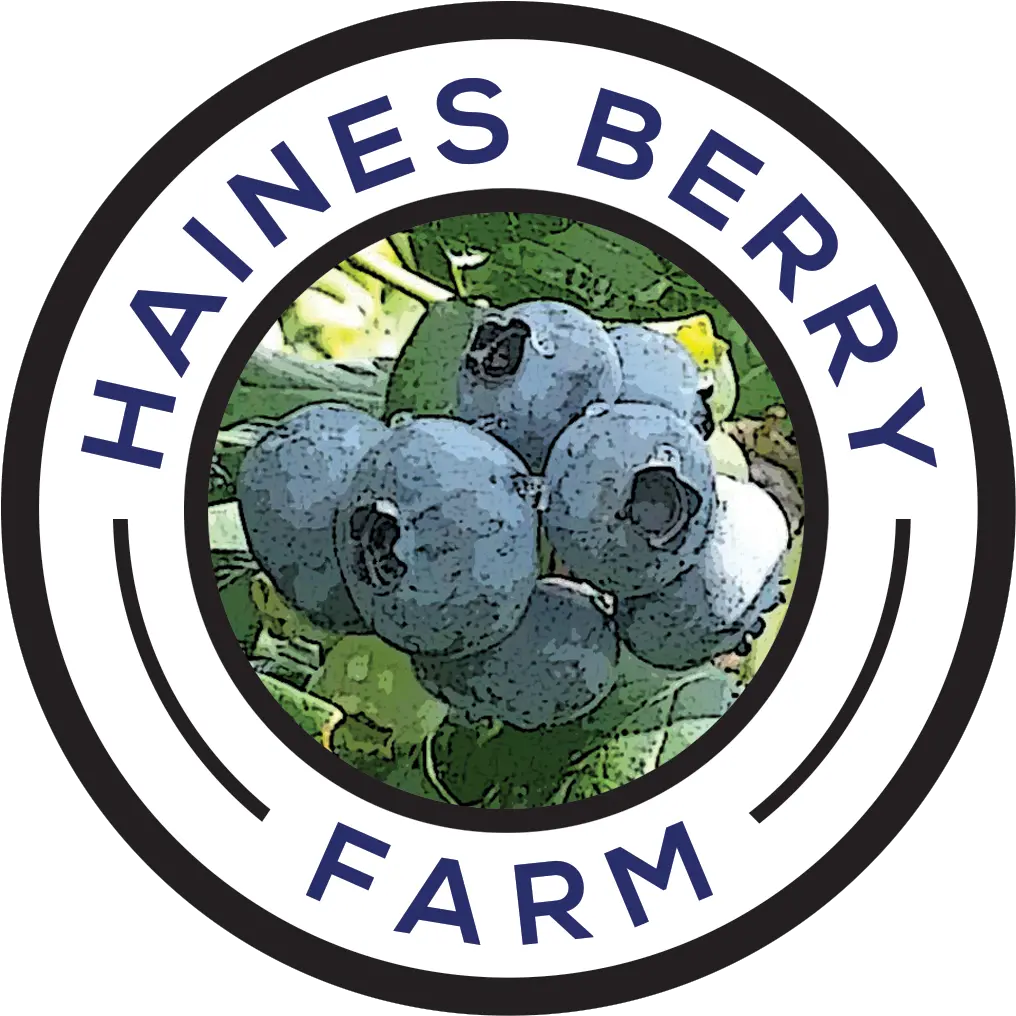 Home Haines Berry Farm Diamond Png Berry Png