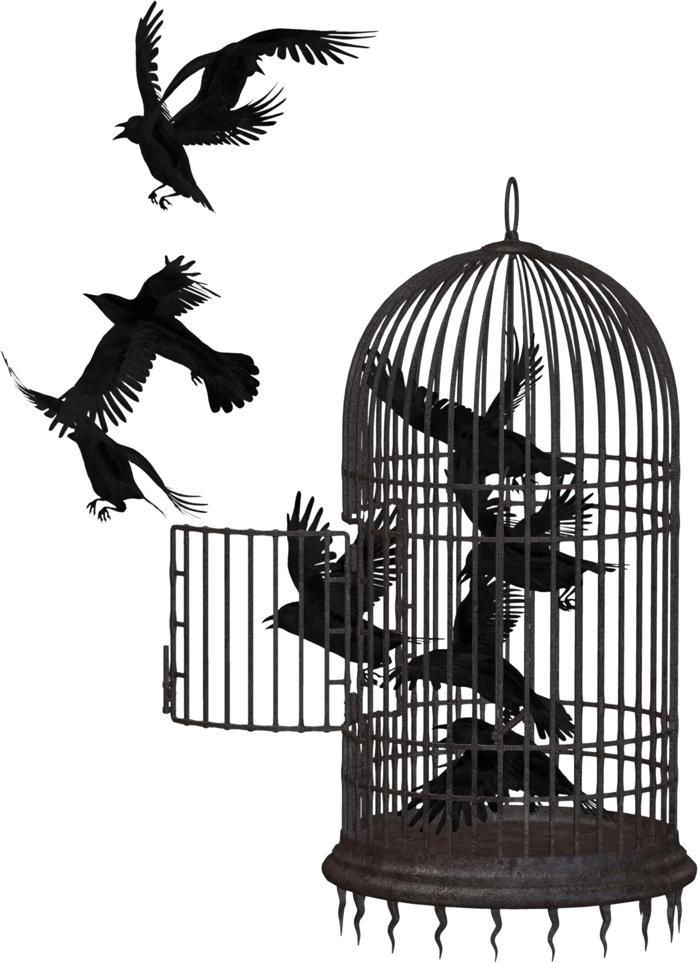 Download Cage Bird Crow Png Image For Free Bird In A Cage Png Crow Transparent