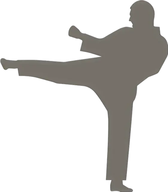 Brown Belt Three Stripes 1st Kyu Seikenryu Karate Icon Circle Png Karate Belt Icon