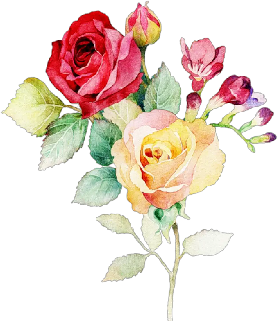 Download Watercolor Flower Bouquet Png Watercolor Rose Bouquet Painting Bouquet Png
