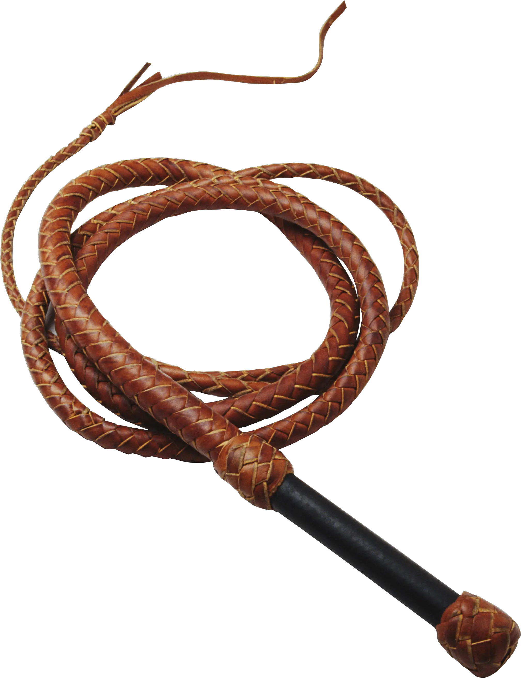 Download Whip Png Image For Free Whip Transparent Whip Png