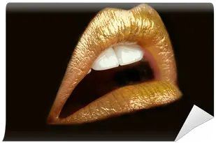 Gold Lips Wall Mural Pixers We Gold Lips Png Gold Lips Png
