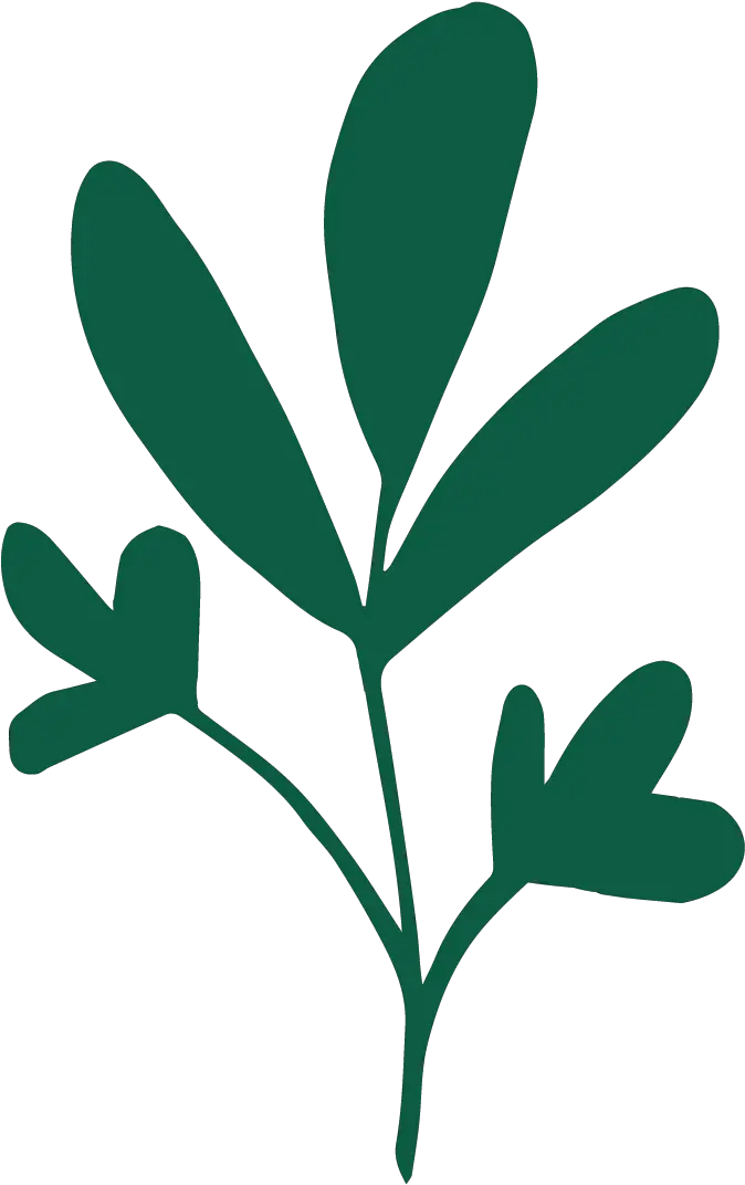 Sprout Plante Logo Png Sprout Png