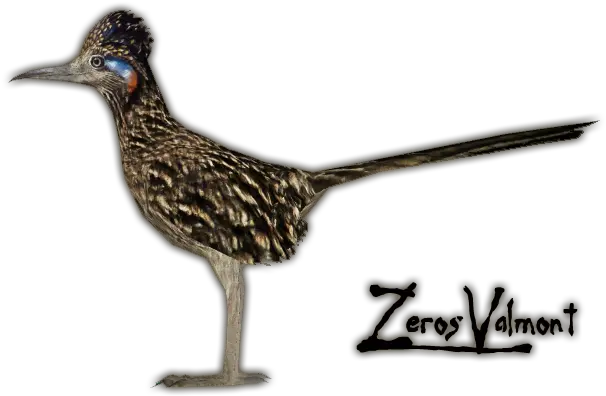 Download 4dd5 Roadrunner Real Png Road Runner Png